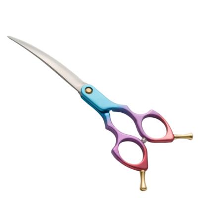 China RAINBOW APT33 Pet Scissors Sustainable Reputation Reliable Pet Groomming Tools for sale