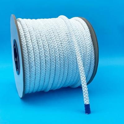 China 100% PTFE Pure PTFE Fber 10mm Dia Braided Pure PTFE Wear Ropes Guide Rope For Covers, Flanges, Tubing, Caps, Chemical Reactors for sale