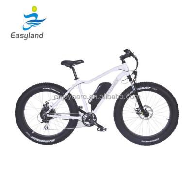 China New Style Aluminum Alloy 2018 Fat Big Power 750w 26INCH Electric Bike Tire for sale