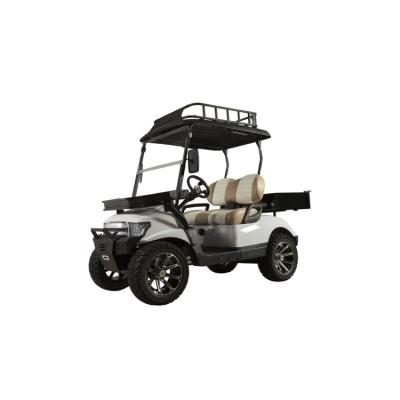 China China Manufacturer Direct Sale Minimum Ground Guard 150-200mm Rxv 23*10.5-14 Golf Cart for sale