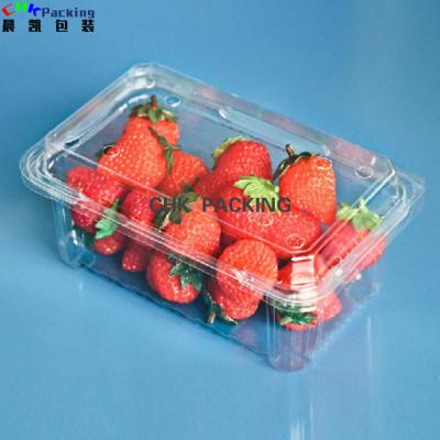 China Pet 500gr 16oz Agriculture Disposable Clear Biodegradable Plastic Apple Fruit Top Blocks Packaging Pla For Fruit Box for sale