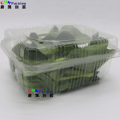 China Eco-friendly Carton Vegetable Hydroponic Lettuce Packaging Machine Recycled Box Lettuce Packing Pillow Bag for sale