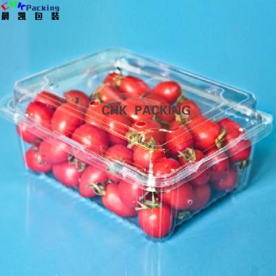 China Cute Pink Agriculture Product Shape Fruit Saver Fresh Dry Vegetable Salad Storage Plastic Packaging Container for sale