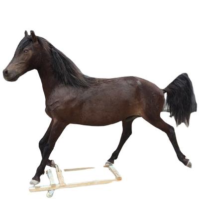 China Simulation of Customized Animatronic Simulated Artificial Fur Horse Decorative Model for Amusement Park for sale