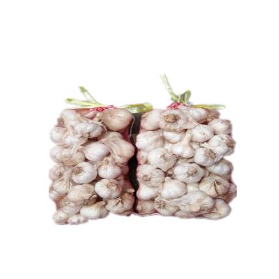 China Vegetable And Fruit Packing 33cm*66cm Garlic Mesh Bags for sale