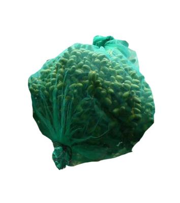 China Agriculture Manufacturers Supply Custom Durable 70*90cm Rope Green Date Palm Tree Mesh Bag 80cm*100cm for sale