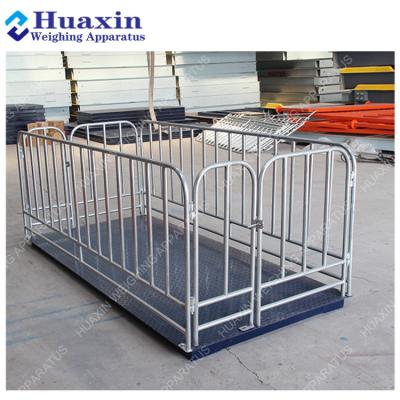 China Carbon Steel Cattle Scale Model Electronic Used Animal for sale