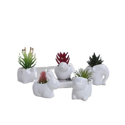 China Creative Ceramic Animal Ceramic Small + Potted Small Succulent Plant Suit for Home + Office… Easy to Clean for sale