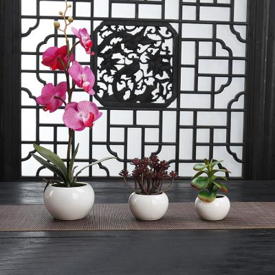 China Modern style hot three-dimensional ball vase household flower pot ceramic flower pot cz172-1 for sale