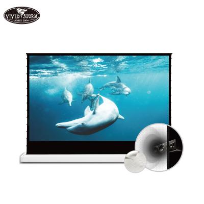 China VIVIDSTORM 72-150inch Floor Electric Rollable Screen With Cinema Screen White Noise Perforate Transparent Acoustic Material for sale