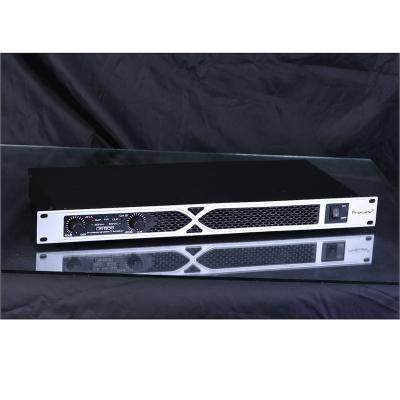 China 2 Channel PA Amplifier 500w Digital Amplifier 1u Class D For Party DJ Prokustk DS500 DS500 for sale