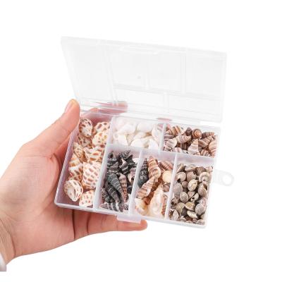 China Home.hotel.lighting 1Box Decorative Mix Mini Seashell Beach Craft Decor Natural Conch Corn Screw Stick Resin Mold Filling Material For DIY Jewelry Making Tools for sale