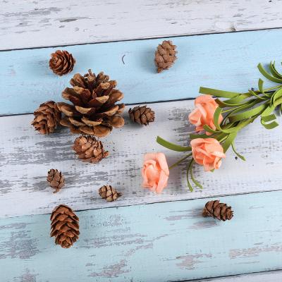 China Natural Classic 3 Size Pine Cone Bauble For Epoxy Resin Pendant Mold Decor Craft DIY Necklace Filling Jewelry Making Component Wholesale for sale