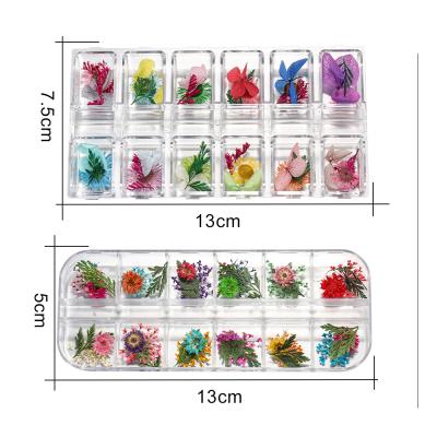 China 1 Box Eco-Friendly Real Dried Flower Babysbreath Cornflower Plants For Epoxy Resin Pendant Jewelry Making Nail DIY Accessories for sale