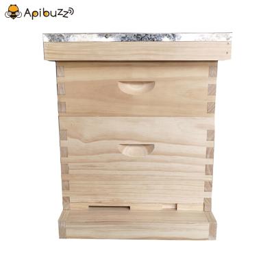 China Langstroth Cedarwood Pinewood 2 Layers 10-Frame Langstroth Bee Hive Beekeeping Beekeeping Beehive Equipment Wooden Beekeeper Tool Supplies for sale