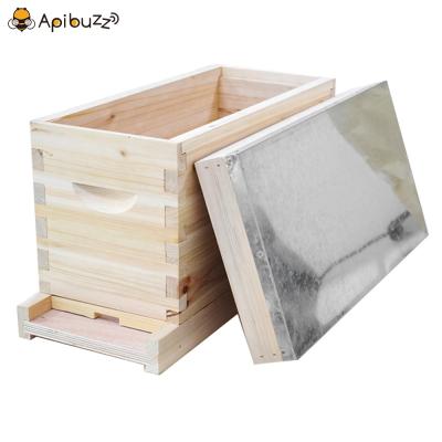 China 5-Frame or 4-Frame Wooden Queen Bee Joining Nuc Box Core Hoops Beekeeper Supplies Apicultura Tool Honey Apiculture Beekeeping Beehive Equipment for sale