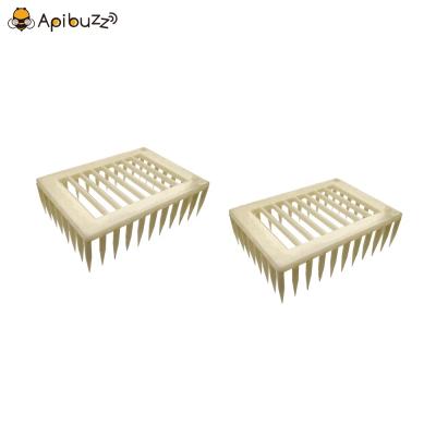 China Bee Farm Needle Square ABS Plastic Bee Queens Cage Beekeeping Raising Cupkit Beekeeping Equipment Supplies for sale