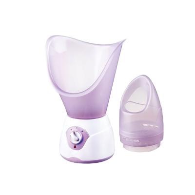 China Moisturizer 2 in 1 new electric professional facial steamer with high frequency for face and nose for sale