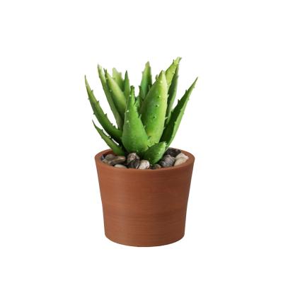 China New arrival wholesale factory handmade plastic mini succulent pot small garden flower pots country planters for outdoor for sale