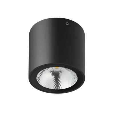 China Residential 6W COB Aluminum Body Round Modern IP65 Waterproof Down Lights Led Ceiling Lights for sale