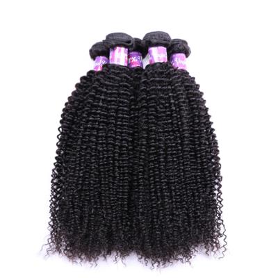 China Wholesale Virgin Curly Curl Hair Vendors Bulk Bundles Raw Indian Unprocessed Afro Curly Hair Bulk Hair for sale