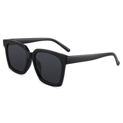 China Fashion sunglasses polarized sunglasses for men and women fashion new sunglasses PC plastic lens UV400. for sale