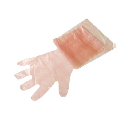 China 60%EVA+40%PE. OEM Artificial Insemination Goat Cattle Cheap Extended Arm Veterinary Long Sleeve Gloves for sale