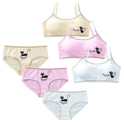 China Summer cartoon antibacterial children use bra and teenage girls lingerie bra panties underwear for sale