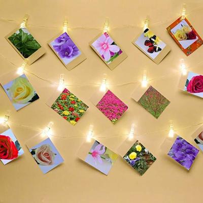 China Battery String Light Light For Pictures Wedding Party Decor Photo Clip Hanging String Lights Battery Operated LED Clips for sale