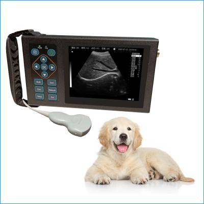 China Cheap Livestock Veterinary Ultrasound Machine For Dog Cat Animal Use Good Price for sale