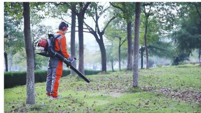 China 75.66cc Waldbrand-Löscher beweglicher Wind zu verkaufen