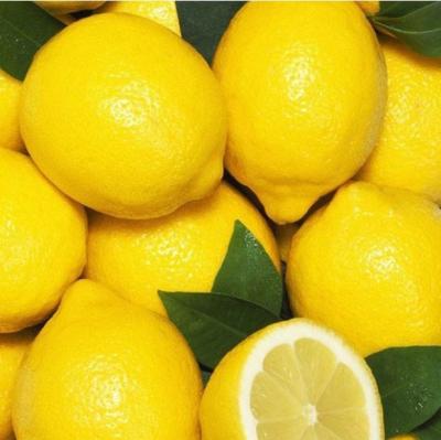 China Fresh High Quality Tropical Fresh Fruit Yellow Eureka Lemon, Adalia Lemon, Lime Dimension Payment Cash On Delivery for sale