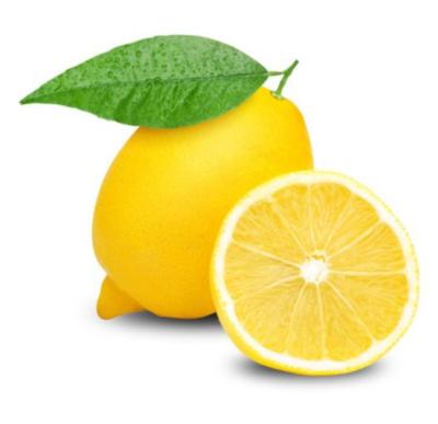 China Bulk Sichuan Fresh Homegrown Lemon All Season Fresh Lemons China High Quality Citrus Yellow Lime for sale