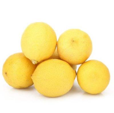 China Low Price China Fresh Hot Fresh Lemon Sale Yellow Organic High Quality Lemon For Malaysia for sale