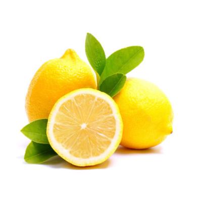 China Premium Fresh Natural Sweet Fresh Yellow Color Export Lemon High Quality Hot Supplier for sale