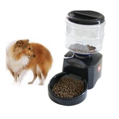 China Automatic Dog Feeder With Timer Auto Pet Dry Food Dispenser for sale