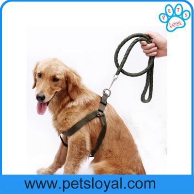 China Hot Selling Cheap Pet Dog Product Nylon Pet Dog Harness Leash China Factory for sale