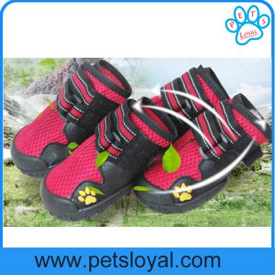 China China Manufacturer Pet Supply Product Luxury Summer Cool Pet Dog Shoes for sale