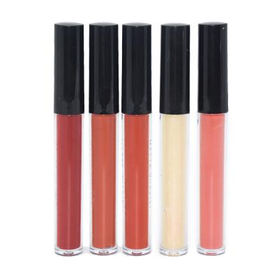 China OEM Supply Cruelty Vegan Lip Gloss Free High Quality Seller Waterproof Organic Lip Gloss Lip Gloss for sale