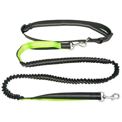 China Bungee Adjustable Thoughtful Free-Holding Double Hands Belt Retractable Dog Leash For Walking Suit Running for sale