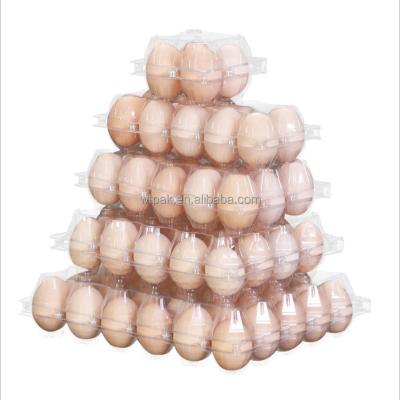 China Disposable 20 Holes PET Stackable Egg Clamshells Containers With Handle for sale