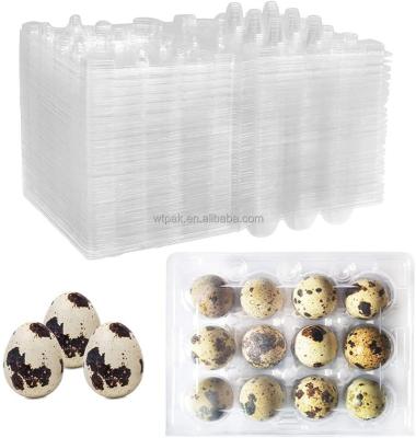 China Disposable Plastic Small Egg Quail Pheasant Pigeon Eggs For Storage for sale