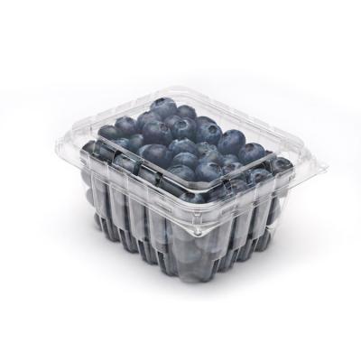 China Recyclable Factory Direct Disposable Transparent Plastic Fruit Berry Plums Packaging Container for sale