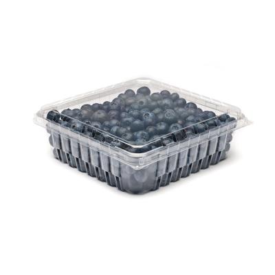 China High Quality Recyclable Commercial Packaging Box Fresh Fruit Plastic Packaging Container for sale