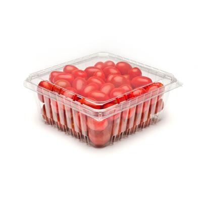 China Factory Direct Selling Recyclable Transparent Packaging Strawberry Plastic Box Fruit Fresh-Keeping Box for sale