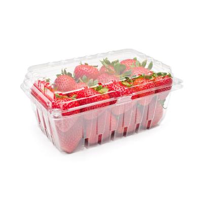 China Recyclable Disposable Strawberry Square Plastic Box For Factory Wholesale And Supermarket for sale