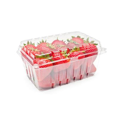 China Hot Sale Recyclable Transparent Packaging Strawberry Commercial Plastic Box Recyclable for sale