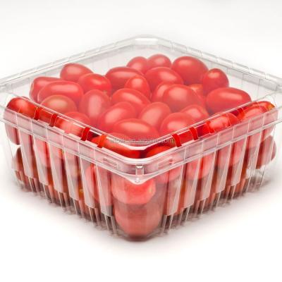 China Disposable Food Packaging Blister Food Grade Cherry Tomato Packaging Boxes Plastic Container for sale