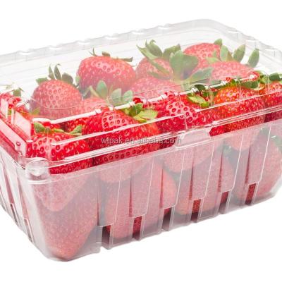 China Developed Customized Disposable Plastic Food Packing Strawberry Packaging Container New for sale