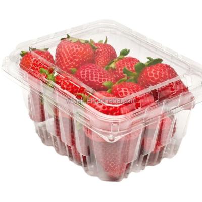 China Supermarket use plastic disposable food packaging fruit salad transparent container/vegetable container for sale